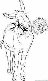 Donkey Coloring Pages Printable Sketch Page sketch template