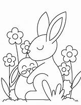 Bunny Coloring Pages  28 FREE Printabulls sketch template