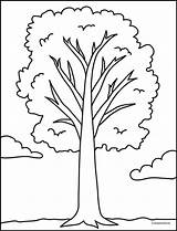 Bare Tree Coloring Page sketch template