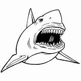 An Open Mouth Basking Shark Coloring Page  Kids Play Color sketch template
