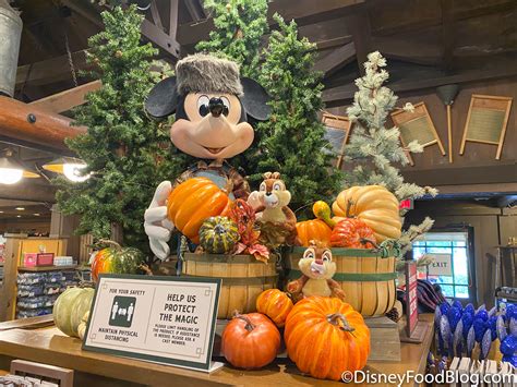 PHOTOS: More Fall Decorations Have FINALLY Started to Appear in Disney World! | the disney food blog