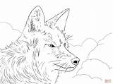 Coyote Head coloring Page  Free Printable Coloring Pages sketch template