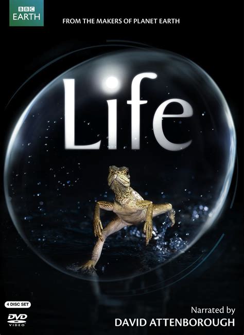 BBC Discovery Channel 'Life' Worksheets