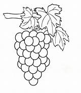 Grapes coloring Pages To Download And Print For Free sketch template