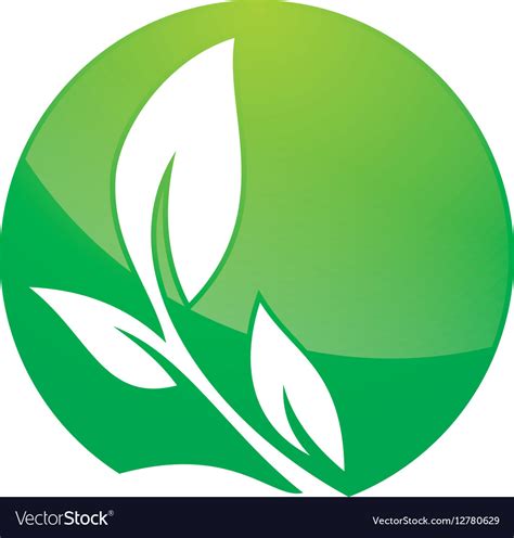 Leaf logo design Royalty Free Vector Image - VectorStock