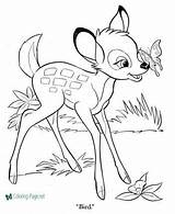 Cartoon Coloring Pages sketch template