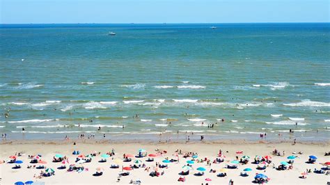 Experience Galveston Island in unique ways this summer