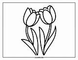 115  Tulip Coloring Pages For Kids & Adults Free Printable PDFs sketch template