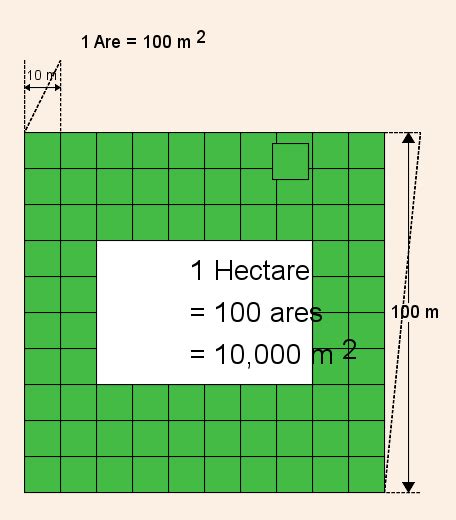 Hectare | Wiki | Everipedia