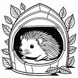 Curled Up Hedgehog In Cozy den Coloring Page Lulu Pages sketch template
