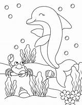 Dolphin Coloring Pages & Templates  28 FREE PrintaBulk sketch template