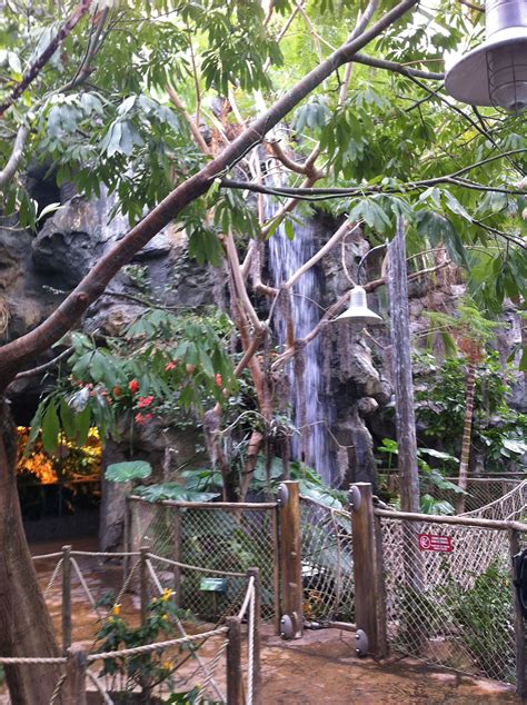 Rainforest exhibit at the Buffalo Zoo Spring Break Vacations, Rainforest, Garden Arch, Locals ...