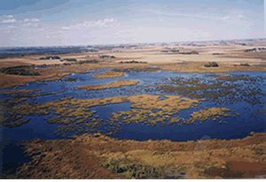 Wetlands in the Minnesota River Basin | Minnesota River Basin Data Center