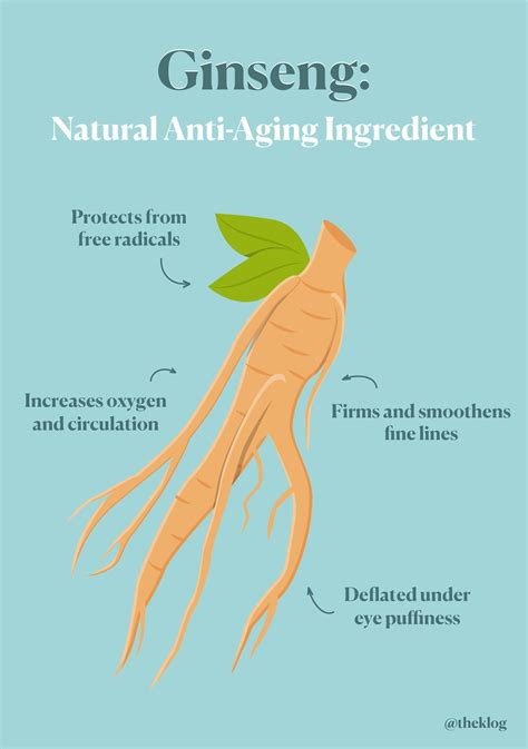 The Anti-Aging Benefits of Ginseng in Skin Care | Skin care remedies ...