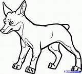 Miniature Pinscher Puppy Coloring Pages Printable  Doberman Colors sketch template