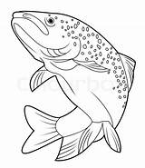 Rainbow Trout Drawing Sketch Coloring Page sketch template