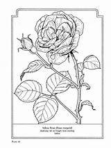 Drop Spindle Coloring Pages sketch template