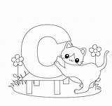 Letter C Is For Cat Image coloring Page  Download Print Or Color sketch template