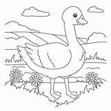 Goose Coloring Page For Kids 5073797 Vector Art At Vecteezy sketch template