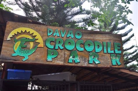 DAVAO CITY TRAVEL GUIDE: Things to do, Budget, DIY Itinerary, Places to ...