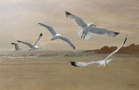 Seagulls Flying Along the Beachfront by M Spadecaller in 2021 ...