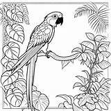Parrot In rainforest coloring Page Lulu Pages sketch template