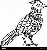 animal mandala coloring Pages For Stress Relief Stock Vector Image  sketch template