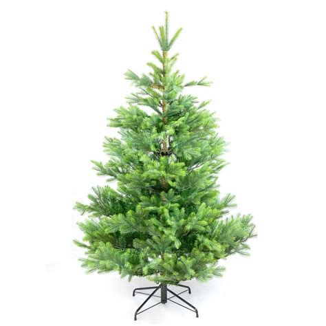 BoomDing Künstlicher Weihnachtsbaum »Weihnachtsbaum künstlich — mit und ...