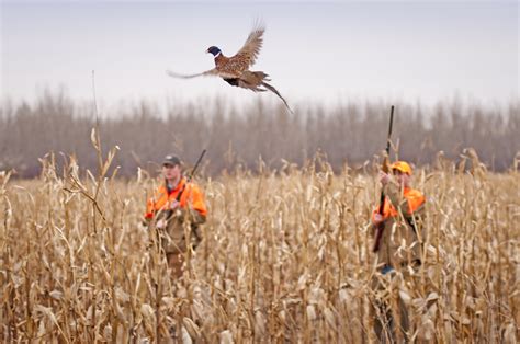 Ministry fights against illegal hunting