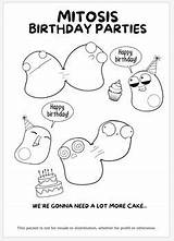 Amoeba Sisters Biology Themed Coloring Book  1st Edition By sketch template