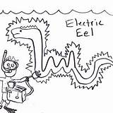 Electric Eel Coloring Page At GetDrawings  Free Download sketch template