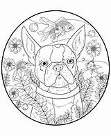 Boston Terrier Downloadable Coloring Page  Etsy sketch template