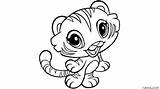 Cute Baby Tiger Coloring Page For Kids » Turkau sketch template