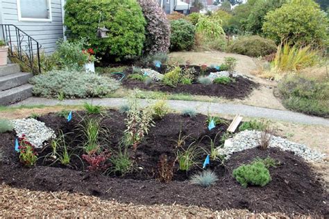 Amazing Rain Garden Design Ideas | HGTV