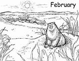 groundhog day coloring Pages  Clip Art Library sketch template