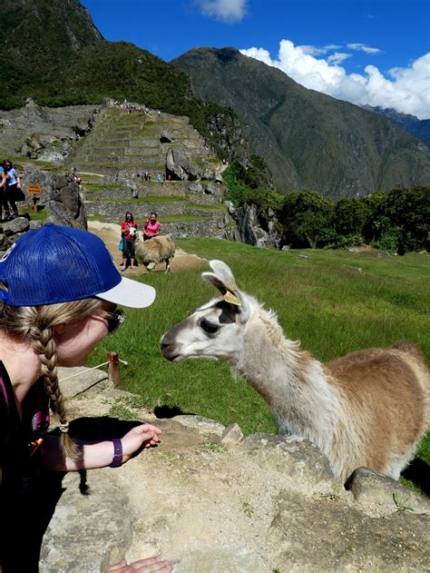 The Inca Trail, Day 4- Machu Picchu!!! | mytravelbugbite