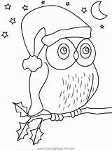 Christmas Owl Coloring Page Pages sketch template