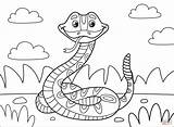Rattlesnake coloring page  Free Printable Coloring Pages sketch template
