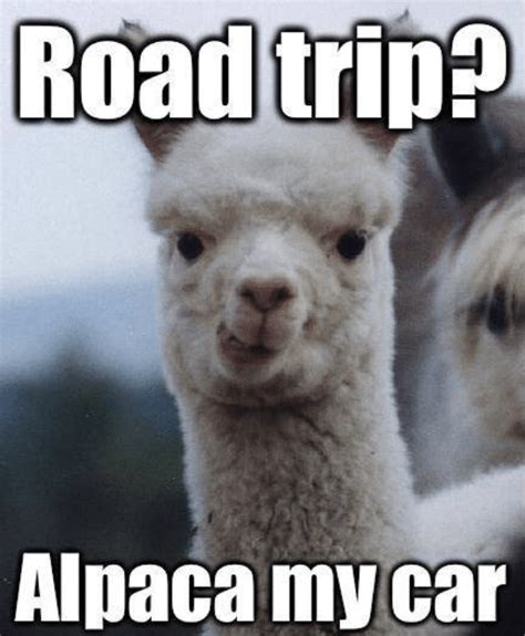 26 Travel Memes That Will Make You Laugh in 2022 - Rock a Little Travel