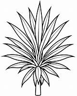 A coloring Page Of An yucca With No color Just Black Lines Vector  sketch template