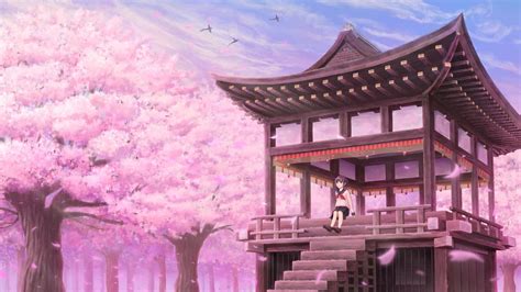 #Anime #Original Cherry Tree #Girl #Sakura #1080P #wallpaper #hdwallpaper #desktop | Cherry tree ...