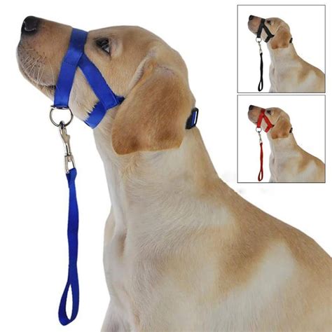 Nylon Dog Head Collar Pet Gentle Leader No Pain No Pull Control Training Leash Adjustable ...