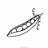 Peas Coloring Pages sketch template