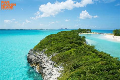 Blue Lagoon Island is Proud to be Authentically Bahamian - Dolphin Encounters