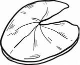 Lily Pad coloring Page  Free Printable Coloring Pages sketch template