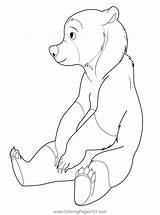 Sitting Bear Coloring Page For Kids  Free Brother Printable sketch template