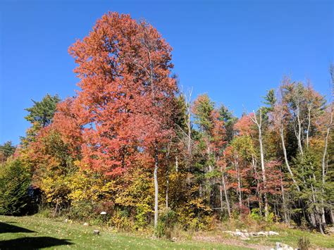 Autumn 2017, NH. | New hampshire, Outdoor, Hampshire