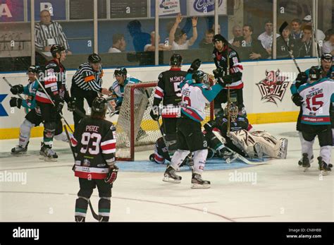 Belfast Giants celebrating their third goal with Cardiff Devils players ...