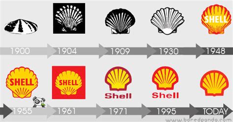 Shell Evolution