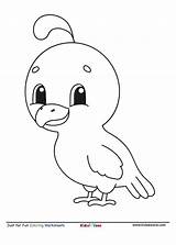 Cute Parrot Coloring Pages sketch template
